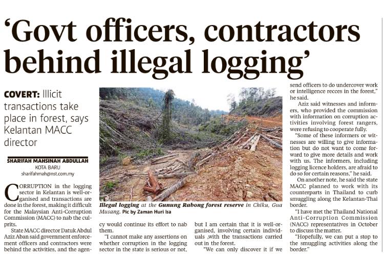 Government Officers Contractors Behind Illegal Logging