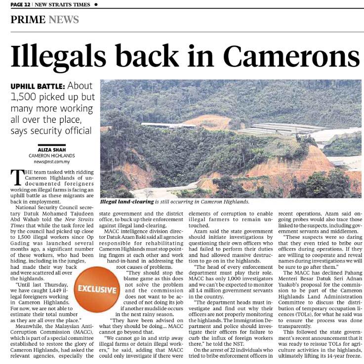 Illegals back in Camerons